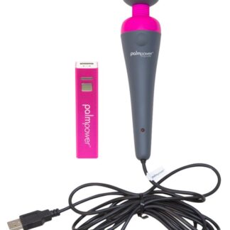PalmPower Plug and Play Wand Massager