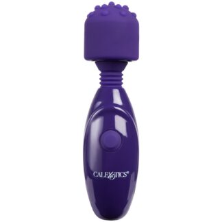Tiny Teasers Rechargeable Nubby Vibrator - Purple
