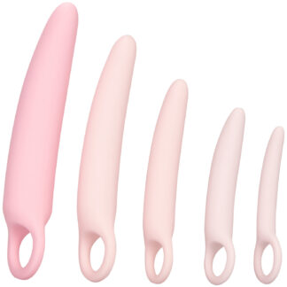 CalExotics Inspire Silicone Dilator Set - Rose